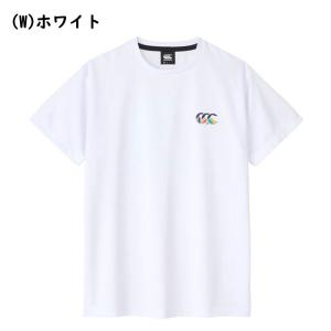 カンタベリー ショートスリーブアグリーキウイト...の詳細画像4