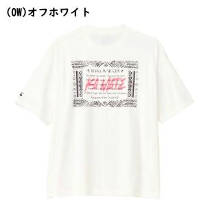 カンタベリー HAKA WAR CRY ショー...の詳細画像4