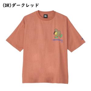 カンタベリー ショートスリーブキウイティー 半...の詳細画像1