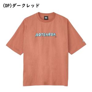 カンタベリー ショートスリーブアオテアロアティ...の詳細画像1