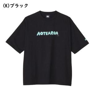 カンタベリー ショートスリーブアオテアロアティ...の詳細画像4