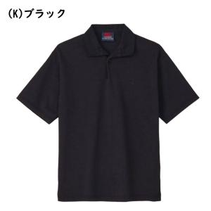 カンタベリー ショートスリーブ ニュージーラン...の詳細画像2