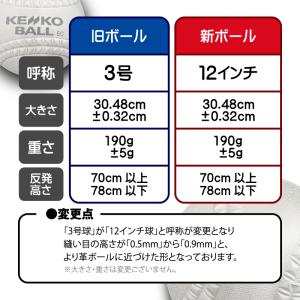 1個 新ゴムソフトボール ナガセケンコー 12...の詳細画像1