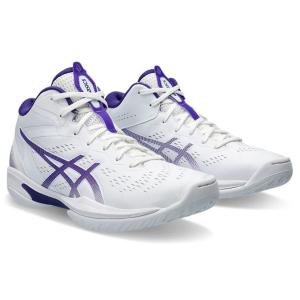 ASICS アシックス ゲルフープV16 スタンダード 2E相当 バッシュ