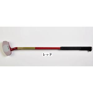 アスプライヤー 3D グラウンド ゴルフクラブ...の詳細画像4