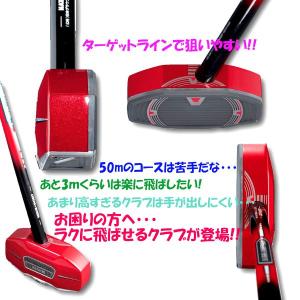 ハタチ【HATACHI】 グラウンドゴルフ ス...の詳細画像4