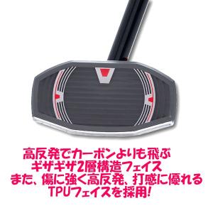 ハタチ【HATACHI】 グラウンドゴルフ ス...の詳細画像5