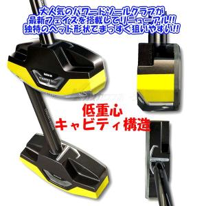 ハタチ【HATACHI】 グラウンドゴルフ パ...の詳細画像3