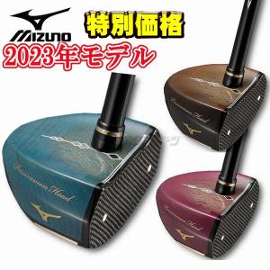 ASICS（アシックス） パークゴルフクラブ バックキャビティ GGP115