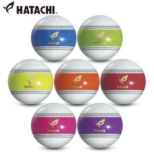 ハタチ HATACHI パークゴルフボール ナビゲーションボール PH3720｜カスカワスポーツ