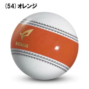ハタチ HATACHI パークゴルフボール ナ...の詳細画像4