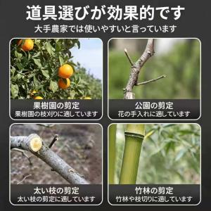 充電式剪定ハサミ マキタバッテリー互換 電動 ...の詳細画像2