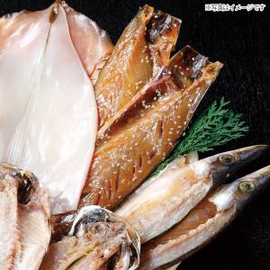 入久水産 西伊豆干物セットB ギフト 人気 贈...の詳細画像3