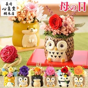 義母への誕生日プレゼント 70代の商品一覧 通販 Yahoo ショッピング