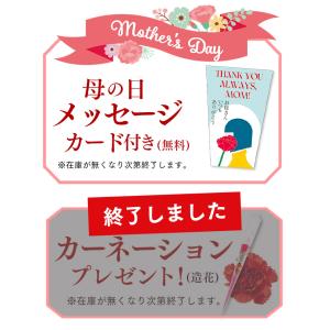 母の日 プリン 2026 スイーツ ギフト (...の詳細画像4
