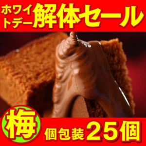 訳あり ホワイトデー 解体 セール ( お得 お菓子 和菓子 巣ごもり 子供 おやつ チョコレート ケーキ 人気 自家用 大量 ) 個包装 チョコ カステラ 梅 送料無料