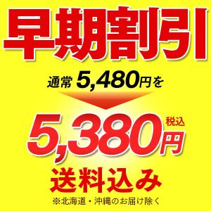 敬老の日 シャインマスカット フルーツ 果物 ...の詳細画像1