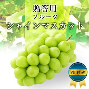 敬老の日 シャインマスカット フルーツ 果物 ...の詳細画像2