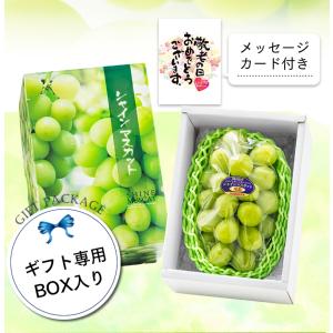 敬老の日 シャインマスカット フルーツ 果物 ...の詳細画像3