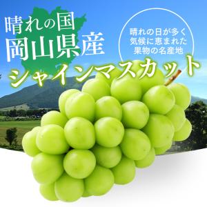 敬老の日 シャインマスカット フルーツ 果物 ...の詳細画像4