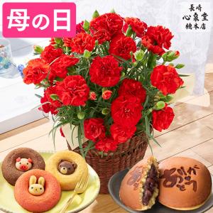 敬老の日 花 プレゼント 鉢花 ( 80代 祖母 孫 花束