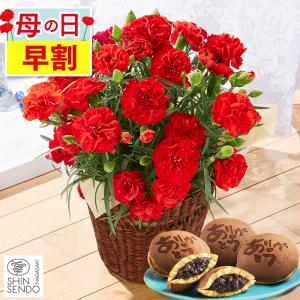 母の日 花 カーネーション プレゼント 2026 ( 早割 鉢植え 生花 花鉢 どら焼き 70代 80代 60代 セット ギフト スイーツ ギフトセット ) 4号 MD6K