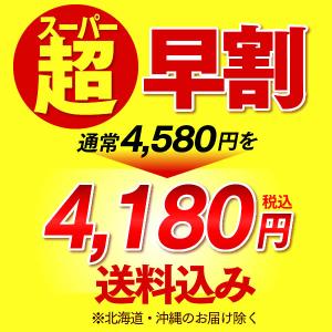 母の日 花 ( 早割 カーネーション 花束 プ...の詳細画像1