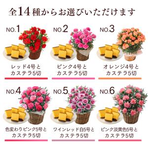 母の日 花 ( 早割 カーネーション 花束 プ...の詳細画像3