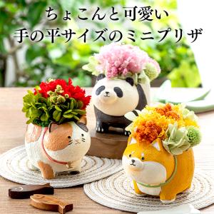 敬老の日 花 ギフト ( プレゼント 70代 ...の詳細画像2