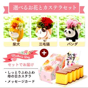 母の日 花 プレゼント プリザーブドフラワー ...の詳細画像4