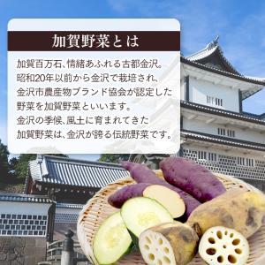 敬老の日 ギフト 2026 ( プレゼント 食...の詳細画像5