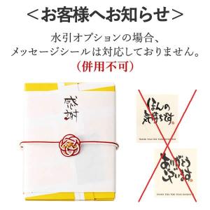プチギフト専用のし(ギフトオプション) TK99の詳細画像4
