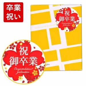 卒業 記念品 お菓子 プレゼント ( 卒業式 卒園 おめでとう 卒業祝い 先生 部活 お礼 挨拶 おしゃれ ありがとう メッセージ プチギフト ) カステラ 個包装 TK20