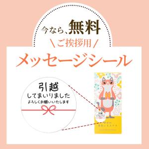 引っ越し 挨拶 お菓子 ( 引越し 和菓子 プ...の詳細画像5