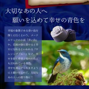 プチギフト お菓子 チョコレート ギフト 青い...の詳細画像3