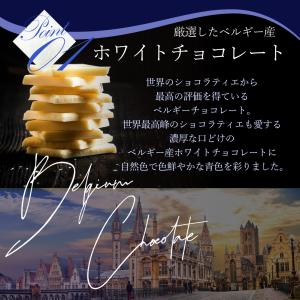 プチギフト お菓子 チョコレート ギフト 青い...の詳細画像5