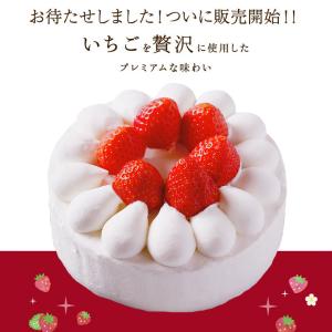 誕生日ケーキ バースデーケーキ 4号 12cm(2人 〜4人) イチゴ 苺 ケーキ いちご ショートケーキ デコレーションケーキ 誕生日 ケーキ 2024 送料無料｜kasyou-morin
