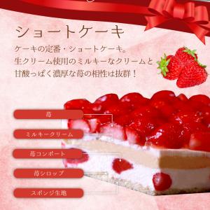 誕生日ケーキ バースデーケーキ 4号 直径約1...の詳細画像2