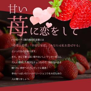 チョコレート ギフト スイーツ ハロウィン お...の詳細画像3