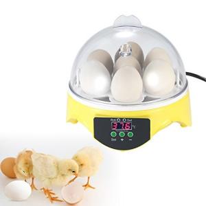 自動孵卵器 7卵 ミニ デジタル 孵卵機 透明 卵の孵化機 自動温度制御 鶏卵 アヒル うずら 家庭用｜katabami-corp