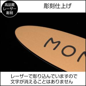 表札 ペットハウス お名前 ネームプレート 楕...の詳細画像3