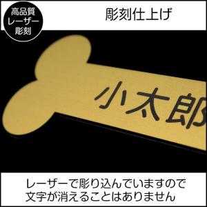 表札 ペットハウス お名前 ネームプレート 骨...の詳細画像3