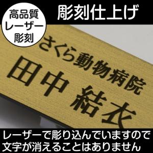 名札 ネームプレート 真鍮風 ゴールド 名入れ...の詳細画像2