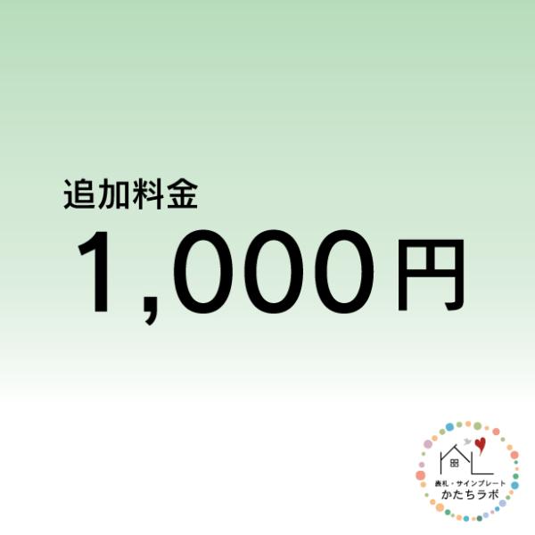 追加料金 1000円