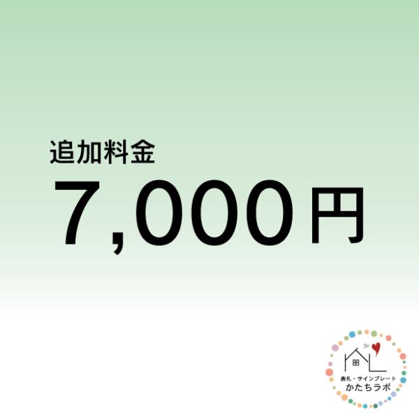 追加料金 7000円