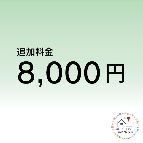 追加料金 8000円