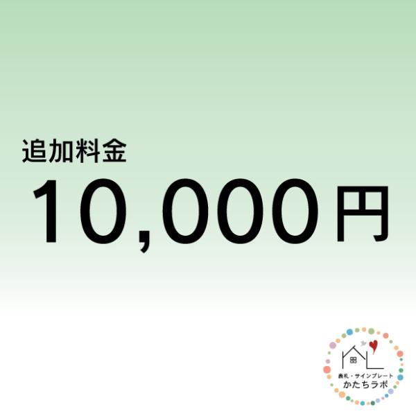 追加料金 10000円