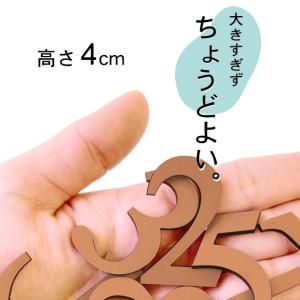 切文字 数字 銅板風 ブロンズ 番号 ナンバー...の詳細画像2