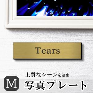 (刻印無料) 写真プレート M 真鍮風 ゴールド キャプションボード 額縁 表題 題名 タイトル 名前 ネームプレート展示 写真 フォト 美術館 メール便送料無料