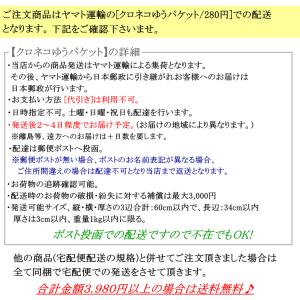 剣道用/胴紐《堅打・竹》4本1組 / シルケッ...の詳細画像1